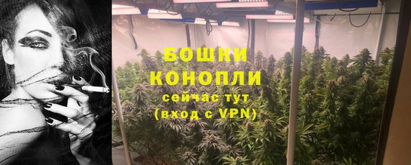 молекула духа Гусиноозёрск