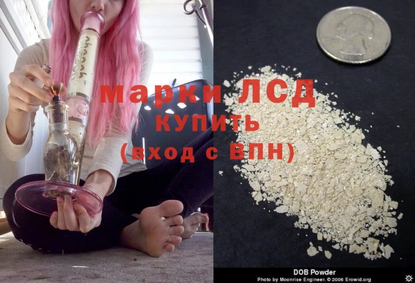 ПСИЛОЦИБИНОВЫЕ ГРИБЫ Аркадак