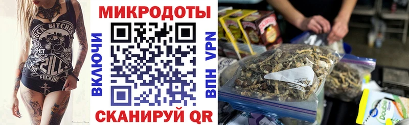 Галлюциногенные грибы Psilocybine cubensis  Константиновск 